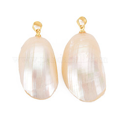 Shell Pendants&nbsp;SSHEL-T014-48A