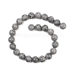 Natural Map Stone Beads Strands&nbsp;G-L648-A05-16mm