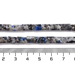 Natural Sesame Jasper Beads Strands&nbsp;G-C128-A12-01