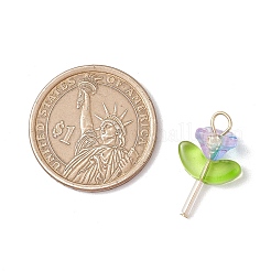 ガラスチャーム  花  304ステンレス鋼の平頭ピン付き  混合色  ゴールドカラー  23x15x9mm  穴：3mm&nbsp;PALLOY-JF03420-01