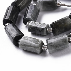 Natural Hawk's Eye Beads Strands&nbsp;X-G-S345-8x11-009