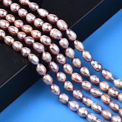 天然養殖淡水パールビーズ連売り  ライス  プラム  7.5~11x6~7.5mm  穴：0.8mm  約37~43個/連  14.06インチ〜14.29インチ（35.7cm〜43cm）&nbsp;X-PEAR-N012-06A