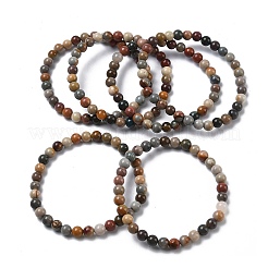 Natural Alashan Agate Round Beads Stretch Bracelets for Women&nbsp;BJEW-Z158-03M-04