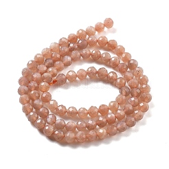 Natural Sunstone Beads Strands&nbsp;G-H080-B01-01