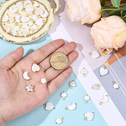 50Pcs Natural Freshwater Shell Pendants&nbsp;FIND-SC0020-74