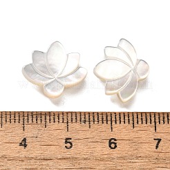 Natural White Shell Beads&nbsp;BSHE-Z008-09
