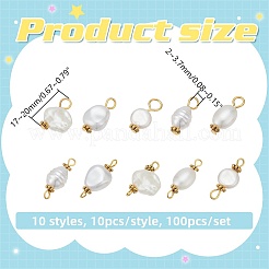 100Pcs 10 Styles ABS Plastic Imitation Pearl Pendants and Connector Charms Findings Kits&nbsp;PALLOY-WR00021