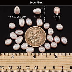 天然な培養された淡水パールビーズ  片穴  ライス  パープル  7.5~8.5x6.5~7mm  穴：1mm  20個/箱&nbsp;PEAR-NB0001-91A