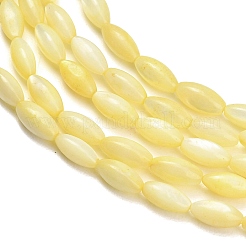 Natural Freshwater Shell Beads Strands&nbsp;SHEL-C010-01B