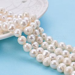 天然な培養された淡水パールビーズ  グレードA  ポテト  ベージュ  6~7.5x6.5~9.5x6.5~7.5mm  穴：0.8mm  約49~56個/連  12.91~14.13インチ（32.8~35.9cm）&nbsp;PEAR-PH0001-02