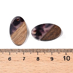 Transparent Resin and Walnut Wood Pendants&nbsp;RESI-T057-03B