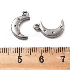 304 Stainless Steel Charms&nbsp;STAS-V002-03P
