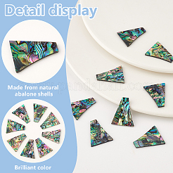 天然アワビ貝/パウア貝カボション8個  カラフル  台形  24x19.5x1.6mm&nbsp;SHEL-BC0001-037C