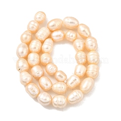Natural Cultured Freshwater Pearl Beads Strands&nbsp;PEAR-I007-01E-01B