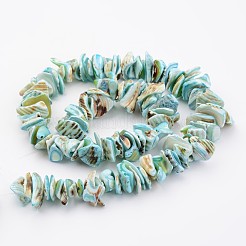 天然石シェルビーズ連売り  染め  ナゲット  空色  10~20x8~12x3~6mm  穴：1mm  約15.7インチ&nbsp;X-BSHE-P010-04