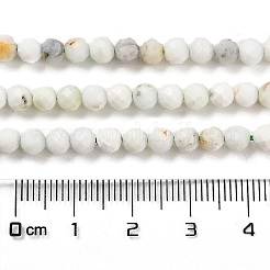 Natural Green Opal Beads Strands&nbsp;G-Z035-A02-03D