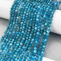 Natural Apatite Beads Strands&nbsp;G-Z057-B02-02