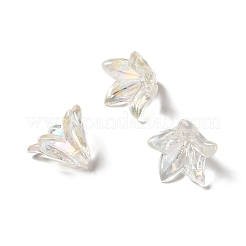 Transparent Acrylic Bead Caps&nbsp;OACR-H016-05