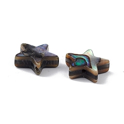 天然アワビシェル/パウアシェルビーズ  スター  カラフル  10x10.5x3.5mm  穴：0.8mm&nbsp;SSHEL-M021-01