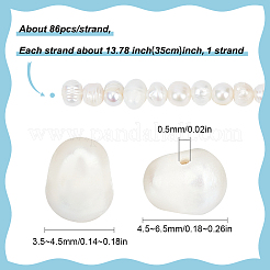 1 Strands Natural Cultured Freshwater Pearl Beads Strands&nbsp;PEAR-SC0001-15