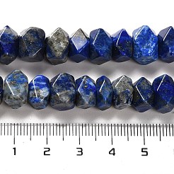 Natural Lapis Lazuli Beads Strands&nbsp;G-N327-05-13