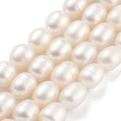 Natural Cultured Freshwater Pearl Beads Strands&nbsp;PEAR-P062-10I
