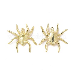 ラックメッキ合金ハロウィーンスタイルパンツ  クモ  ライトゴールド  37x35.5x4mm  穴：1.7mm&nbsp;PALLOY-O109-43LG