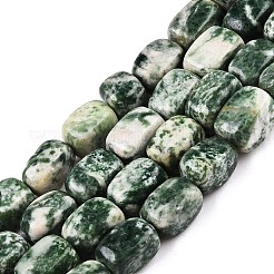 Natural Green Spot Jasper Beads Strands&nbsp;G-T138-96