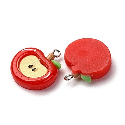 Opaque Resin Pendants&nbsp;RESI-I337-05P-A01