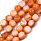 Natural Freshwater Shell Beads Strands, Dyed, Nuggets, Coral, 7~9x7~8x2.5~6mm, Hole: 0.8mm, about 48~50pcs/strand, 14.96~15.74 inch (38~40cm)