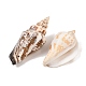 Natural Conch Shell Beads&nbsp;BSHE-O007-57-3