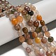 Natural Rutilated Quartz Beads Strands&nbsp;G-B099-B01-01-2