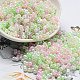 Glass Seed Beads&nbsp;SEED-K009-02B-19-1