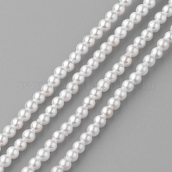 シェルパールビーズ連売り  ラウンド  ホワイト  2mm  穴：0.5mm  約190個/連  15.7インチ