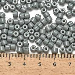 Baking Paint Pearlized Glass Seed Beads&nbsp;SEED-C001-04A-07