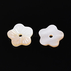 天然淡水シェルビーズ  花  貝殻色  10x10x2mm  穴：1.4~1.5mm&nbsp;BSHE-T014-15
