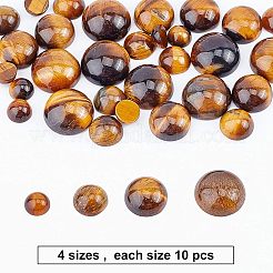 Natural Tiger Eye Cabochons&nbsp;G-GA0001-12B
