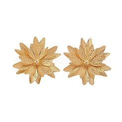 Alloy Stud Earrings&nbsp;FS-WG4939F-01