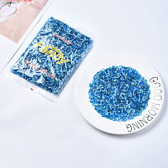 ガラスシードビーズ  混合スタイル  混合図形  ドジャーブルー  1~27x2~4mm  穴：0.7~1mm  約450g /ポンド&nbsp;SEED-S059-004