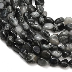 Natural Eagle Eye Stone Beads Strands&nbsp;G-D108-A02-03