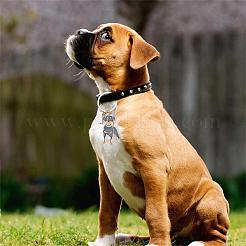 Wewaysmile 犬用キーホルダー 2個 車用キーホルダー ペットペンダント キーリング 可愛い犬用キーリング ポータブル メタルキーホルダー ペット愛好家へのギフト 誕生日 子犬テーマ パーティー用品 (ロットワイラー)  ミックスカラー  11x2.85cm&nbsp;JX797A