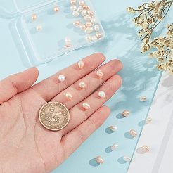 40 個 2 色の天然養殖淡水パールビーズ  片穴  ライス  ミックスカラー  7~8x5.5~6mm  穴：0.8mm  20個/カラー&nbsp;PEAR-NB0001-92A