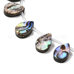 Natural Abalone Shell Paua Shell Beads Strands&nbsp;SH-CBA69D1-02