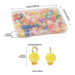 50Pcs Transparent Stripe Resin Charms&nbsp;PALLOY-FS00041-02