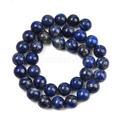 Natural Lapis Lazuli Beads Strands&nbsp;G-S333-10mm-013