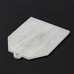Acrylic Big Pendants&nbsp;SACR-E005-01A