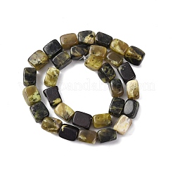 Natural Yellow Turquoise(Jasper) Beads Strands&nbsp;G-D098-D14