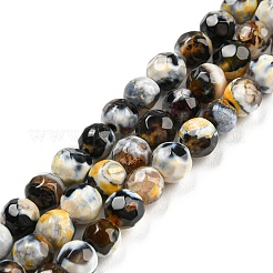 Dyed Natural Fire Crackle Agate Beads Strands&nbsp;G-G007-01