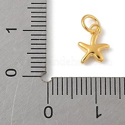 丸カン付きスターリングシルバーのヒトデチャーム925個  ゴールドカラー  12.5x6.5x2mm  穴：2mm&nbsp;STER-R013-01G