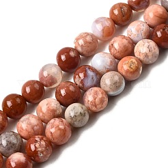 Natural Pink Agate Beads Strands&nbsp;G-K350-C02-8mm
